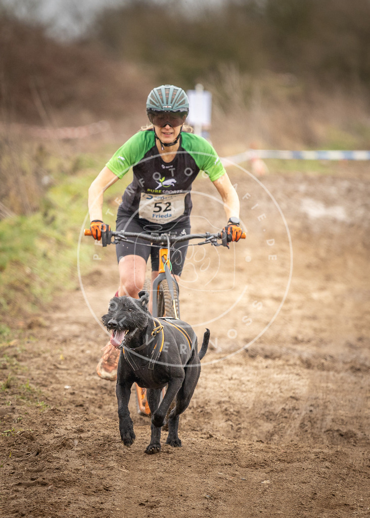 DV3A1414 | Hundefotografie, Tierfotograf, Pfotenfotografie, Fotoshooting Hund, Hunde Portrait, Hundesport, Hundeportraits, Heideshooting, Hunde, Sportfotograf, Hundefotograf, Turnierhundsport, THS,  - Realisiert mit Pictrs.com