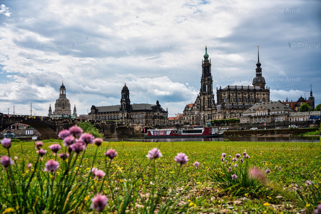 Elbwiesen_Skyline | Fotografie Photography Dresden Photoshooting  Fotoshooting Fotografin Dresdencity Bilder  Foto Dresdenvideos Kalender Postkarten Bilderdownload Portrait Hochzeitsfotografie Familienfotos Bewerbungsbilder Studiofotografie Fotograf Dresdenbilder Business - Realisiert mit Pictrs.com