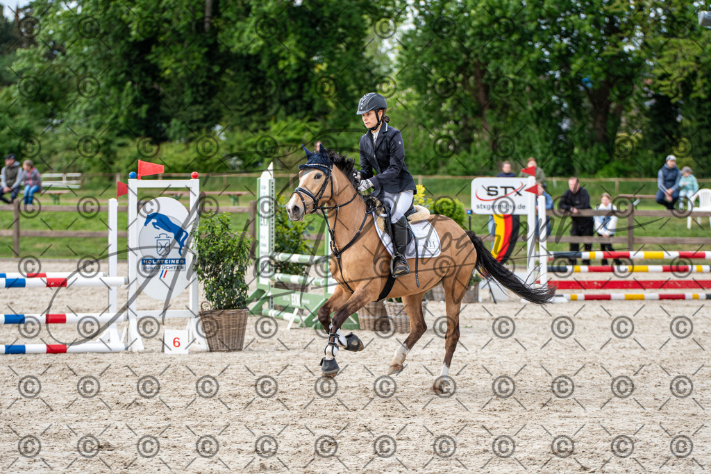 KPT_6913 | andre_photographic