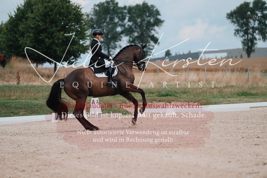 DSC_4174 | Pferde- und Turnierfotografie in Westsachsen. Pferdeportraits, Auftragszeichnungen und intuitive Kunst.