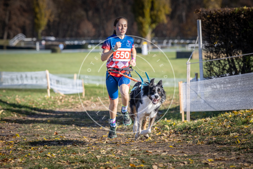 CaniXpix_DV3A8489 | Hundefotografie, Tierfotograf, Pfotenfotografie, Fotoshooting Hund, Hunde Portrait, Hundesport, Hundeportraits, Heideshooting, Hunde, Sportfotograf, Hundefotograf, Turnierhundsport, THS,  - Realisiert mit Pictrs.com