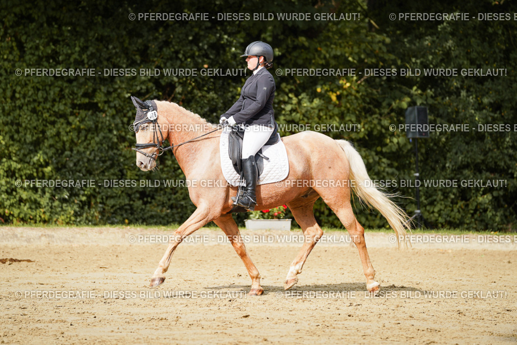 DSC03012 | Pferdegrafie