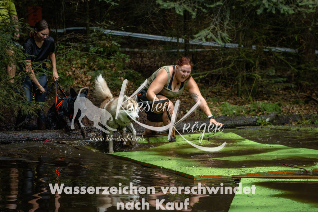 1548_ZZ92019-Bearbeitet | kk-dogfotos