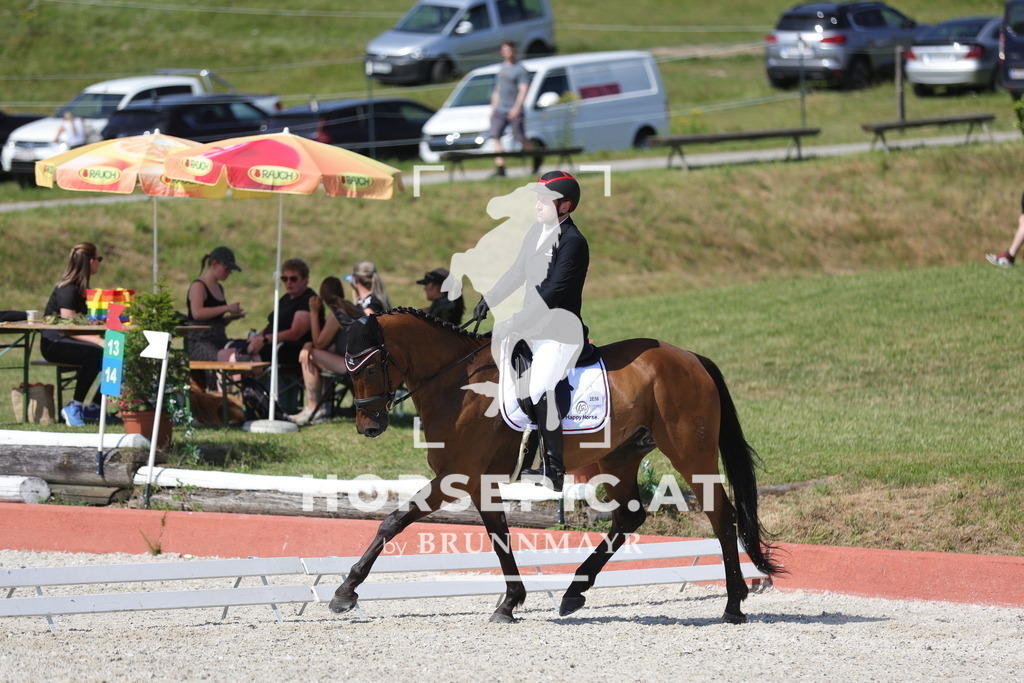 0P6A7798 | Willkommen bei Brunnmayr - Design & Fotografie – Ihrem Spezialisten für Reitturniere und Pferdeveranstaltungen in Oberösterreich, Salzburg und Bayern! Seit über 17 Jahren sind wir leidenschaftlich dabei.