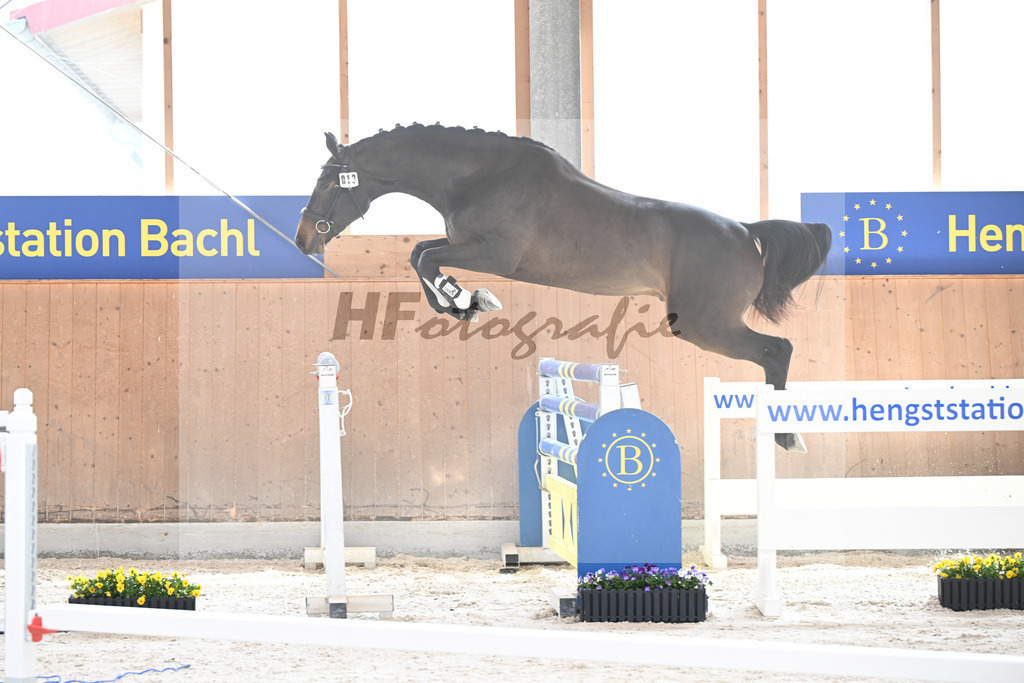 Kat-Nr. 13 Courchevel B v. Cizero Z_Bachl_5250174 | hf-fotografie - Realisiert mit Pictrs.com