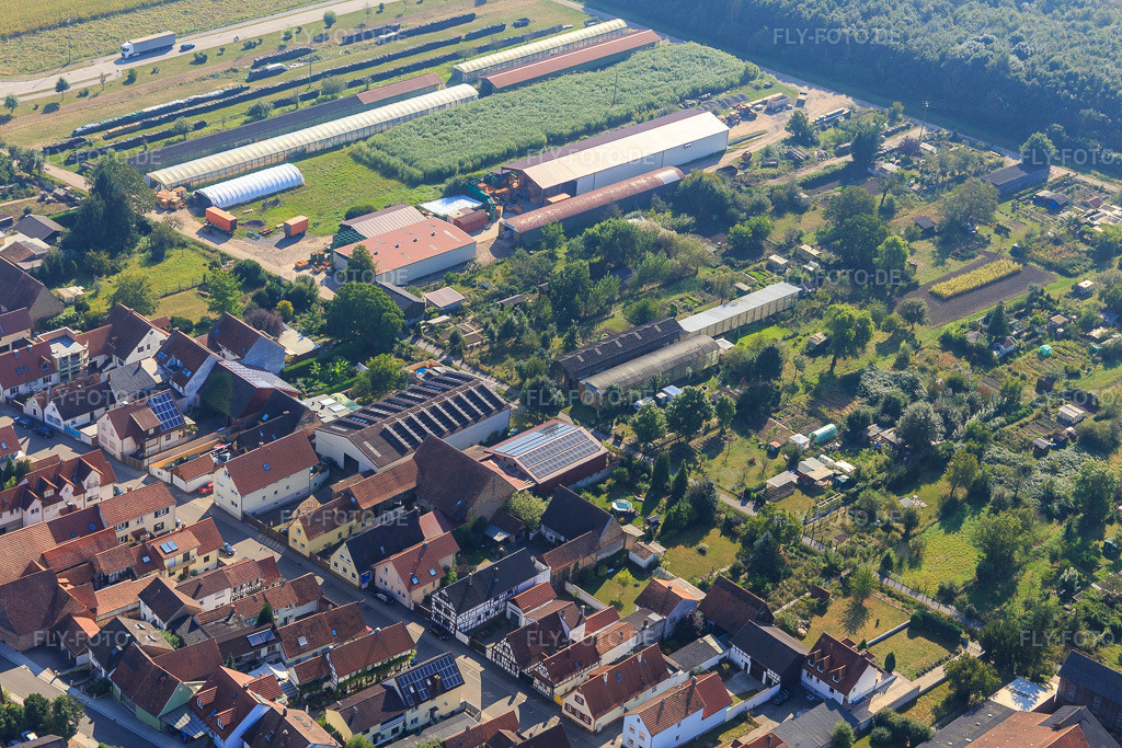 Luftbild: Landwirtschaftliche Hallen am Ettenbaum in Kandel im Bundesland Rheinland-Pfalz in Deutschland. Foto: IMG_094926.jpg vom 24.09.2016 durch Werner Riehm/FLY-FOTO.de