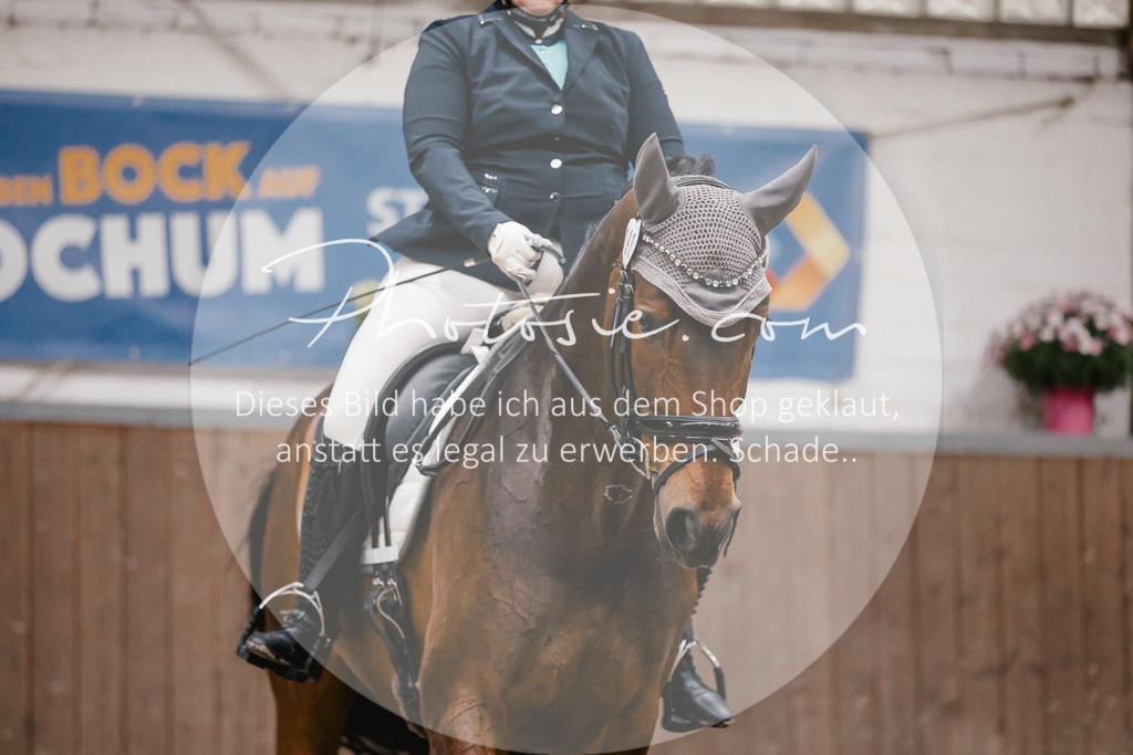 3I6A6096 | Stimmungsvolle Portraits und Reitsportfotografie im Ruhrgebiet und im Münsterland.

Pferdefotografie, Hundefotografie, Tierfotografie, Reportagen, Portraits von Tier und Mensch, Turnierfotografie in Bochum, Recklinghausen, Marl, Haltern am See, Dülmen.. - Realisiert mit Pictrs.com