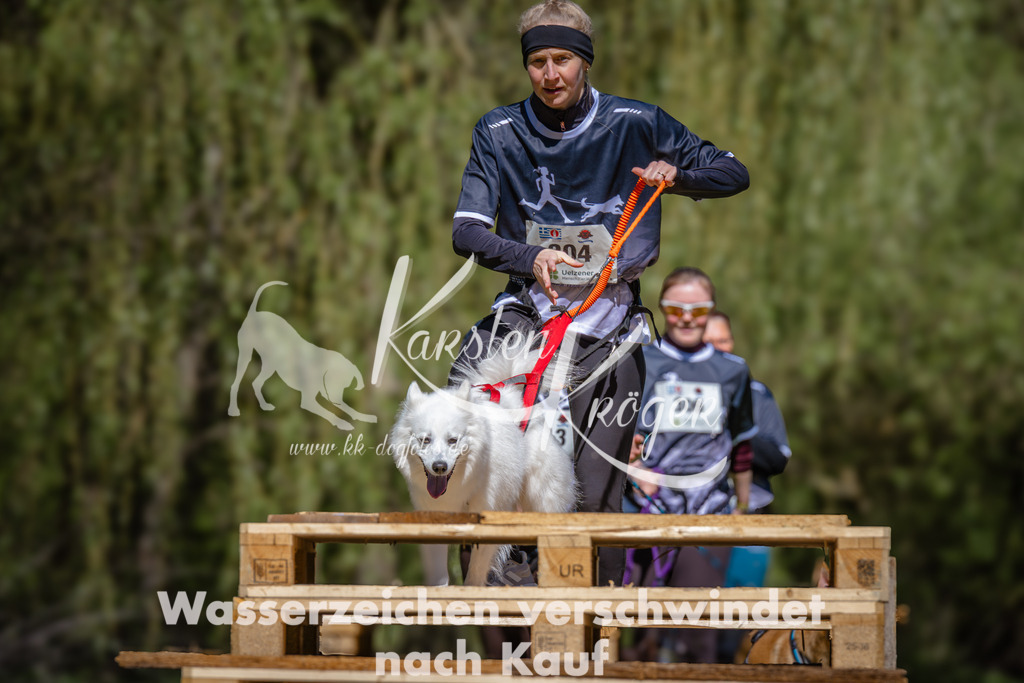 1209_ZZ90582 | kk-dogfotos