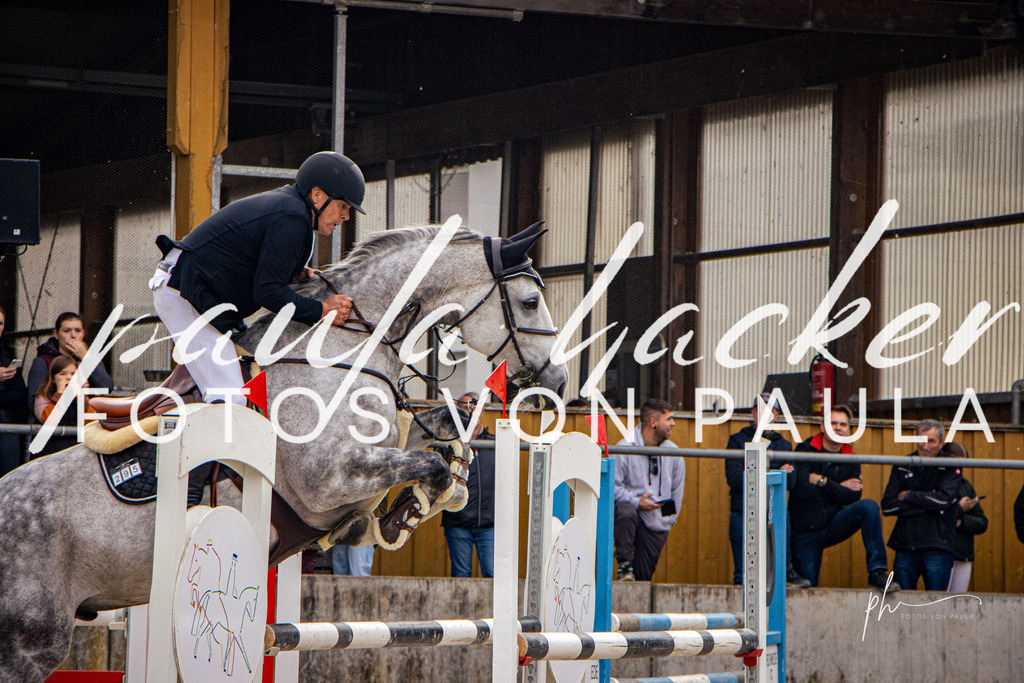 IMG_4303 | Erleben Sie dynamische Sport- und emotionale Tierfotografie in Süddeutschland mit Fotos von Paula. Spezialisiert auf Pferde- und Hundefotografie sowie Sportevents. Kontaktieren Sie mich für einzigartige und ausdrucksstarke Bilder Ihrer besonderen Momente. - Realisiert mit Pictrs.com