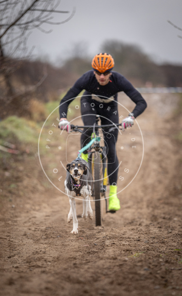 DV3A8866 | Hundefotografie, Tierfotograf, Pfotenfotografie, Fotoshooting Hund, Hunde Portrait, Hundesport, Hundeportraits, Heideshooting, Hunde, Sportfotograf, Hundefotograf, Turnierhundsport, THS,  - Realisiert mit Pictrs.com