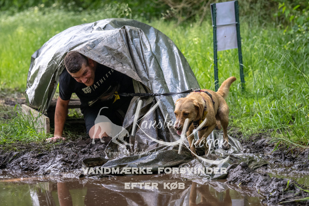 1220_ZZ91938 | kk-dogfotos