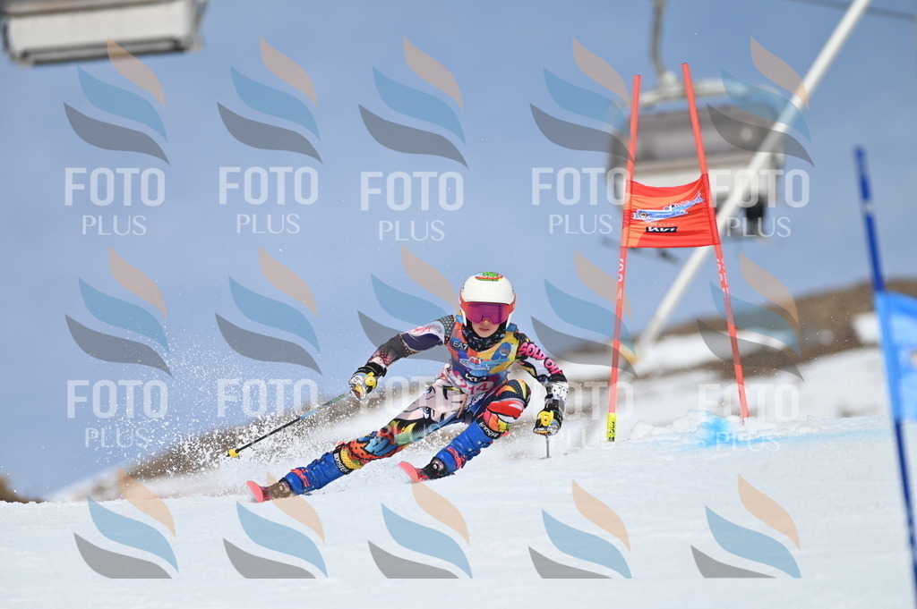 BGV_1191 | holidayphoto