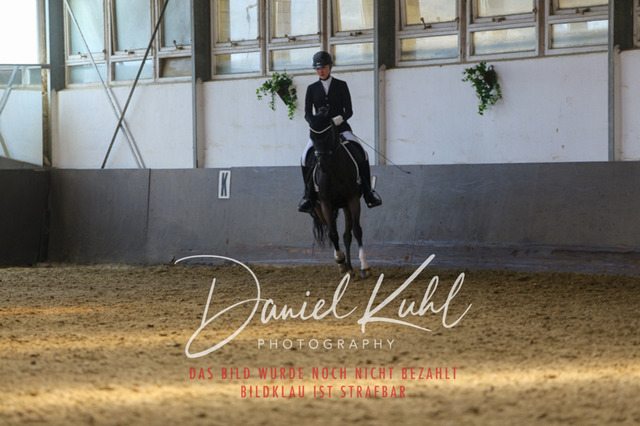 IMG_2832 | Turniersportfotografie; Pferdefotografie; Dressurfotografie