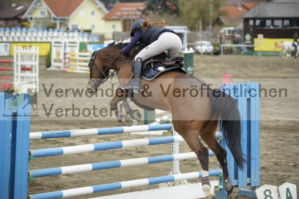 _DSC7427 | equestrian-live-com
