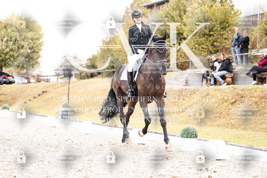 CK901777 | Turnierfotografie Pferdefotografie Trier Rheinland-Pfalz Pferdesport Reitsport Tierfotografie Sportfotografie Pferdevideo Pferdevideografie Equestrianvideography equestrianphotography  - Realisiert mit Pictrs.com