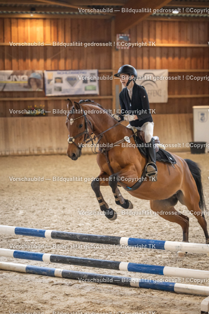 _D5A9901 | Emotionale Pferde- & People-Fotografie rund um Heidelberg, Leimen & Umgebung. Natürliche Fotos von Pferd, Mensch & Familie. Jetzt Termin sichern!