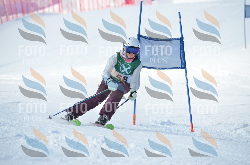 D8840 | holidayphoto