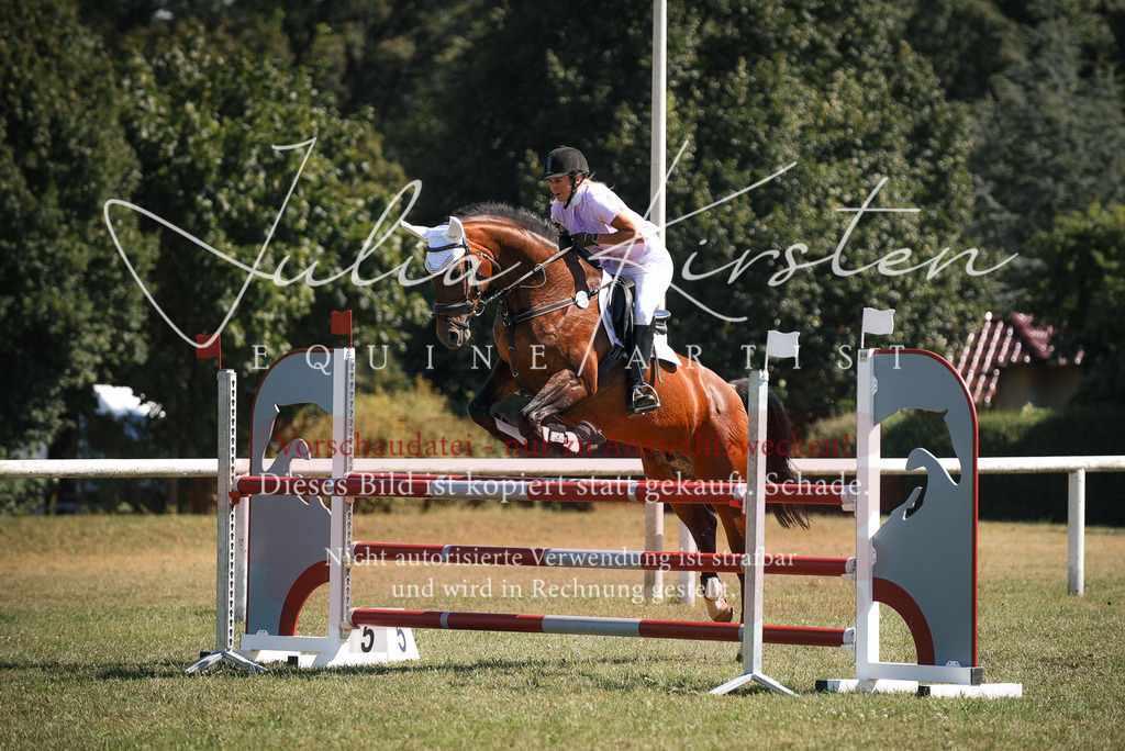 DSC_7182 | Pferde- und Turnierfotografie in Westsachsen. Pferdeportraits, Auftragszeichnungen und intuitive Kunst.