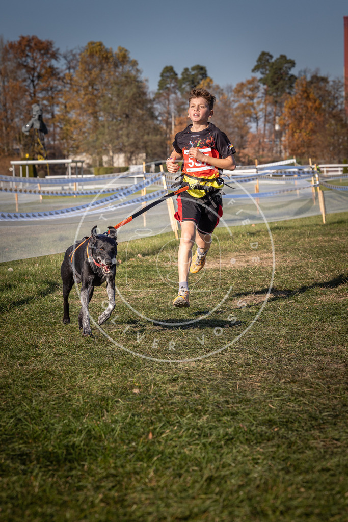 CaniXpix_0L8A7457 | Hundefotografie, Tierfotograf, Pfotenfotografie, Fotoshooting Hund, Hunde Portrait, Hundesport, Hundeportraits, Heideshooting, Hunde, Sportfotograf, Hundefotograf, Turnierhundsport, THS,  - Realisiert mit Pictrs.com
