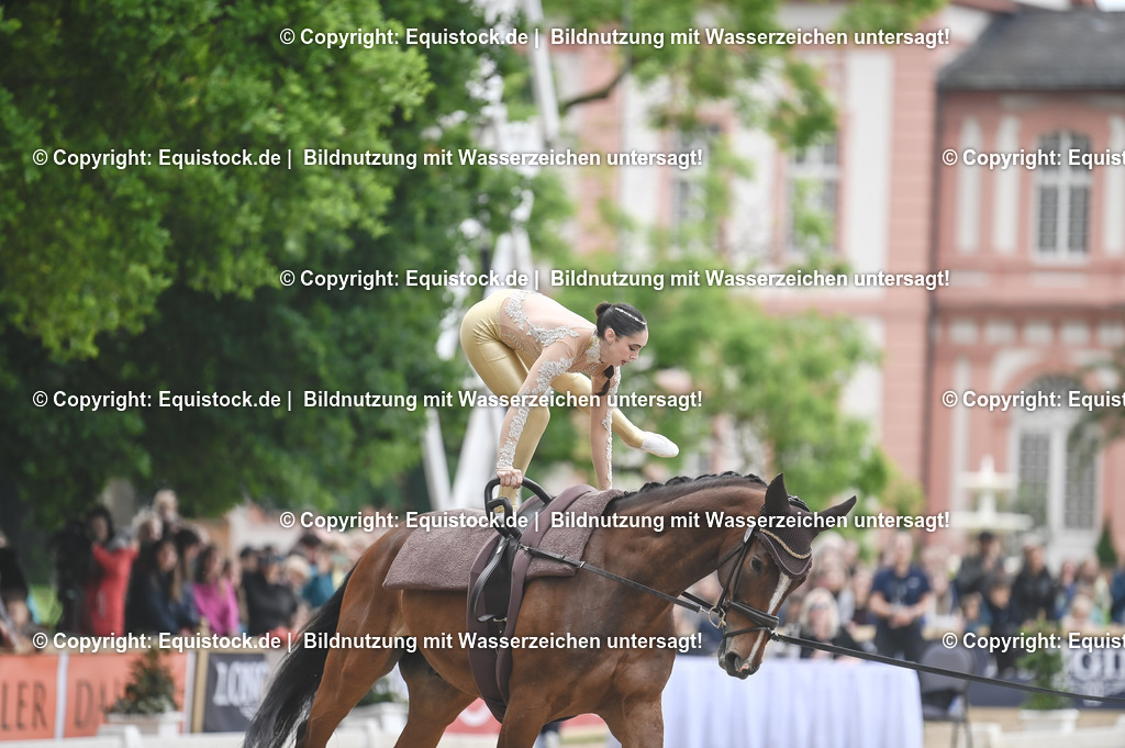20240519_Voltige_0192 | Foto: Thomas Hartig