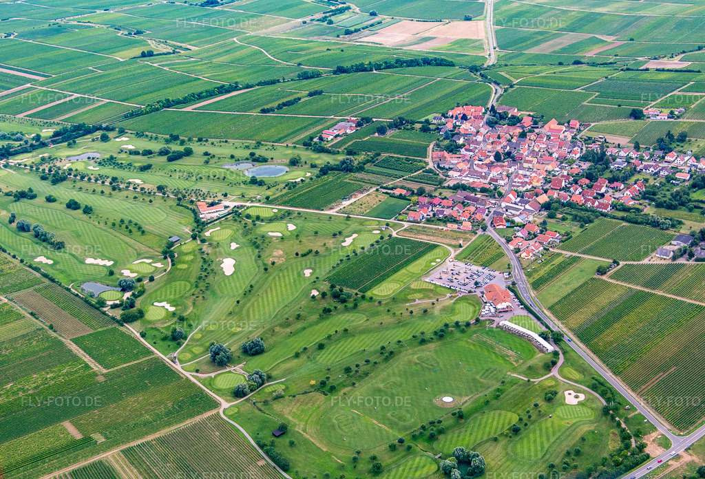 Luftbild: Dackenheim, Golfplatz in Dackenheim im Bundesland Rheinland-Pfalz in Deutschland. Foto: IMG_092133.jpg vom 16.07.2016 durch Werner Riehm/FLY-FOTO.de