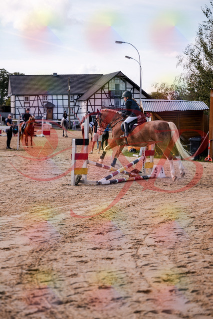 2026_10_03_Siefer-Hof_144519_Z81_20444121 | Professionelle Reitsport-, Turnier- und Eventfotografie von Robert Broda. Galerien mit ausgewählten und bearbeiteten Bildern direkt online ansehen und bestellen.