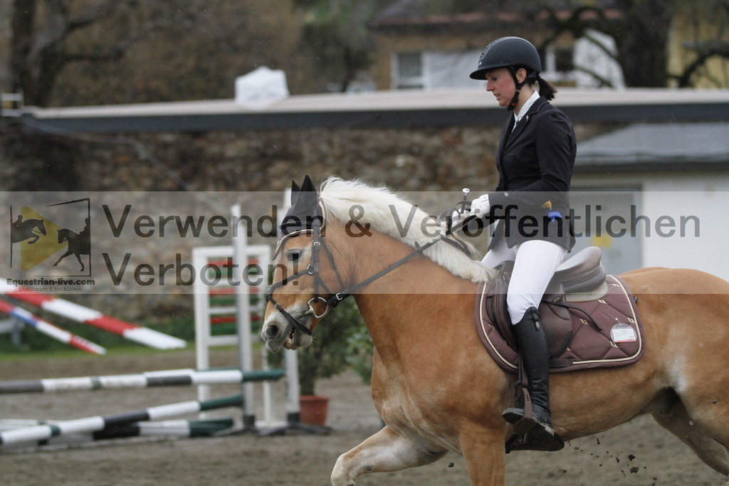 _MG_3699 | equestrian-live-com