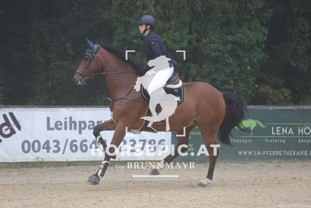 0P6A0323 | Willkommen bei Brunnmayr - Design & Fotografie – Ihrem Spezialisten für Reitturniere und Pferdeveranstaltungen in Oberösterreich, Salzburg und Bayern! Seit über 17 Jahren sind wir leidenschaftlich dabei.