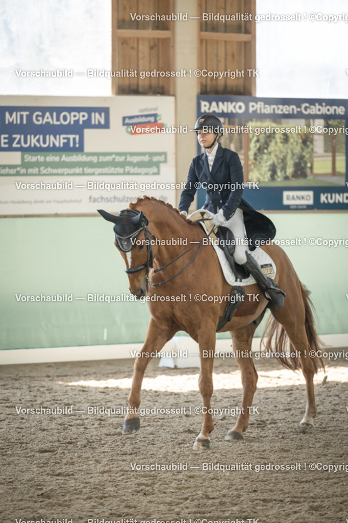 _D5A1466 | Emotionale Pferde- & People-Fotografie rund um Heidelberg, Leimen & Umgebung. Natürliche Fotos von Pferd, Mensch & Familie. Jetzt Termin sichern!