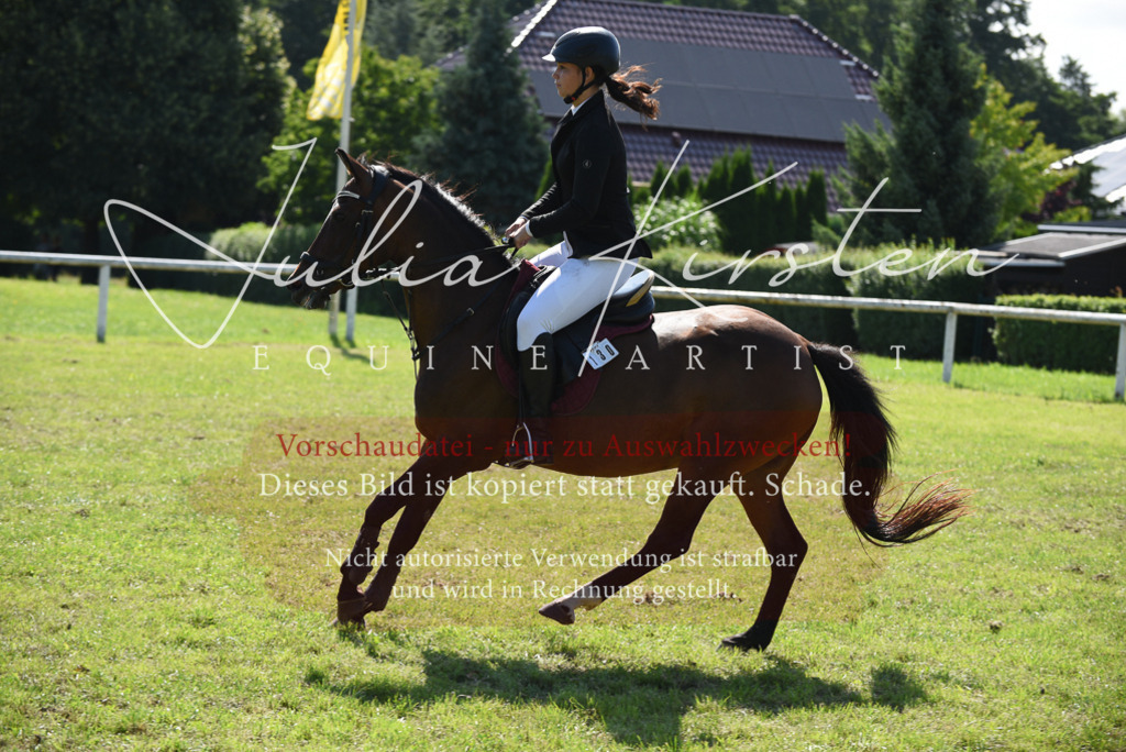 DSC_9253 | Pferde- und Turnierfotografie in Westsachsen. Pferdeportraits, Auftragszeichnungen und intuitive Kunst.