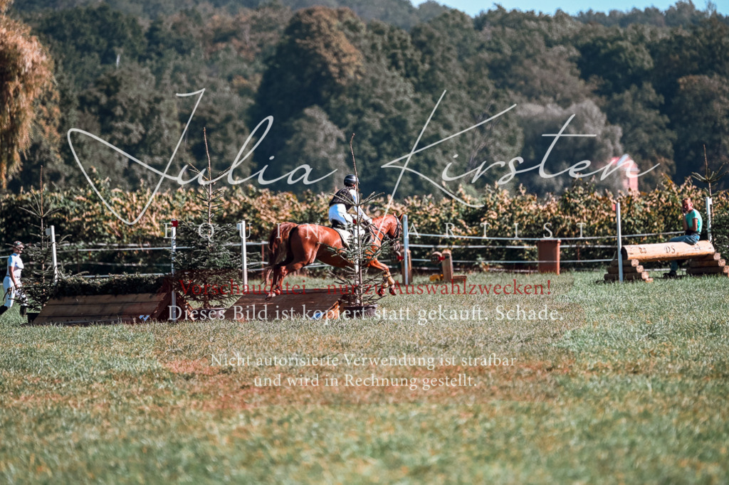 DSC_0876 | Pferde- und Turnierfotografie in Westsachsen. Pferdeportraits, Auftragszeichnungen und intuitive Kunst.