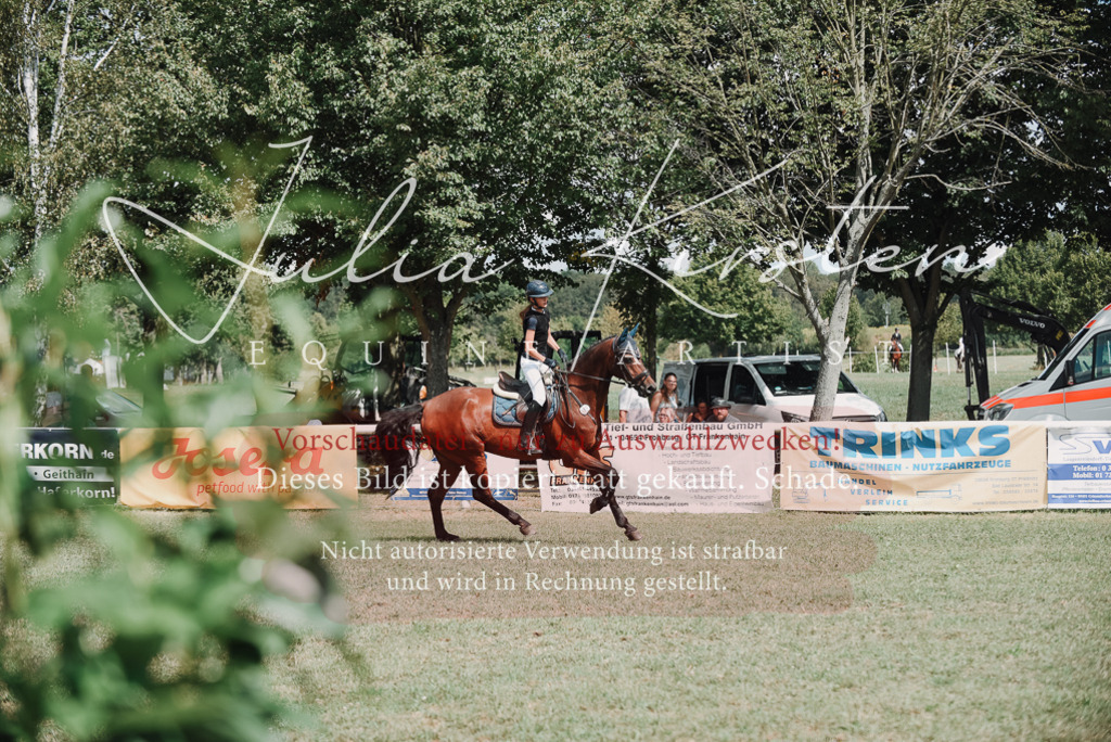 DSC_5681 | Pferde- und Turnierfotografie in Westsachsen. Pferdeportraits, Auftragszeichnungen und intuitive Kunst.
