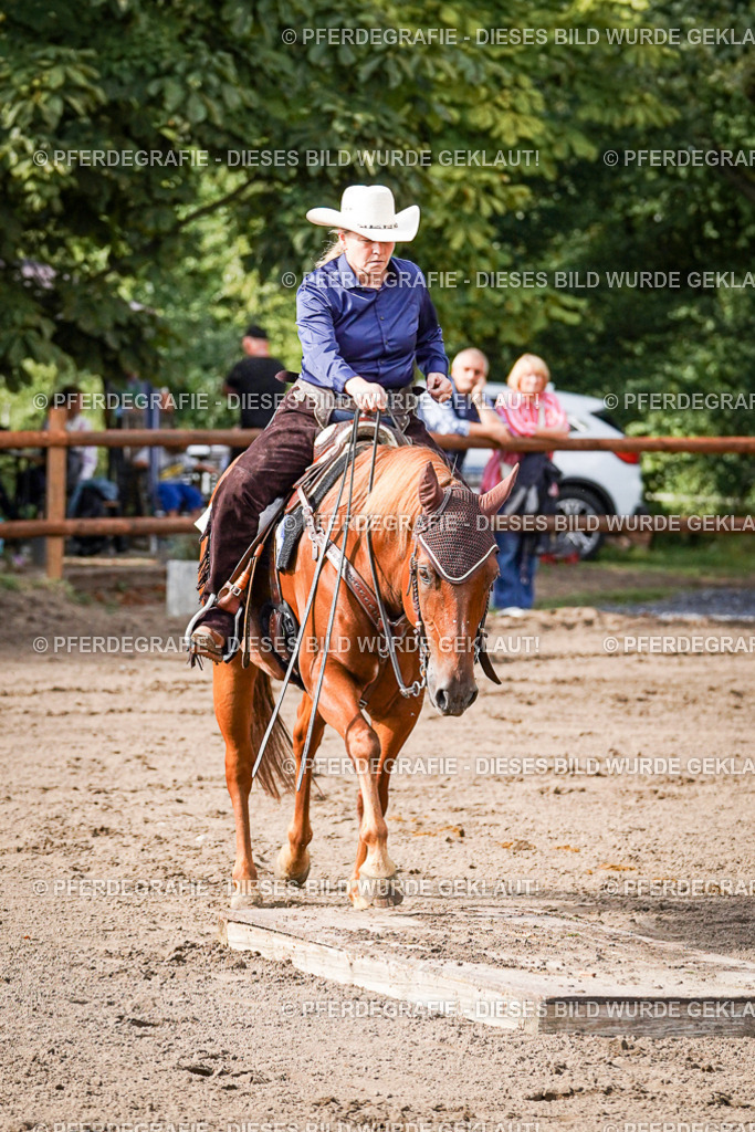 DSC00299 | Pferdegrafie