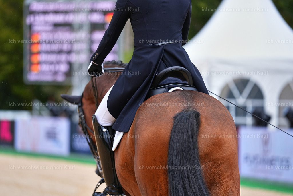 8_1-100-Klasse S_  -Marixx-4206 | working equitationturnier fotograf videograf stoibphotography marixx film working equitation deutschland reitsport turnierfotografie eventfotografie equestrian events