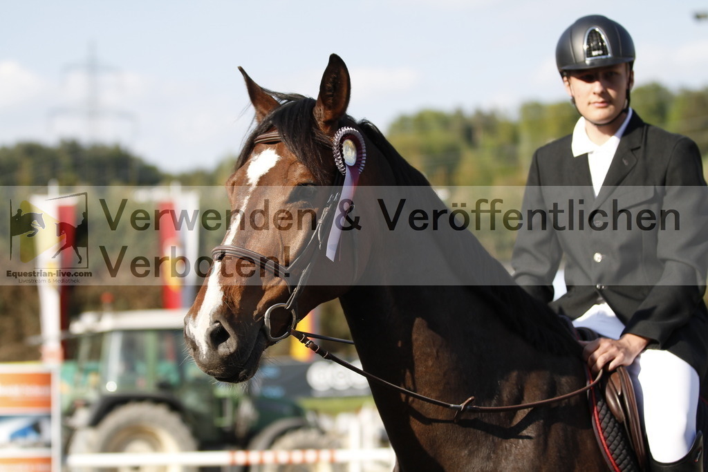 _MG_8376 | equestrian-live-com