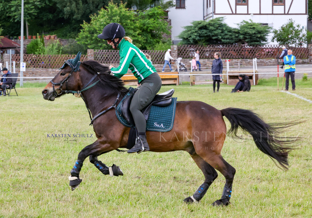 1B3A4474 | Reitsport Reiten