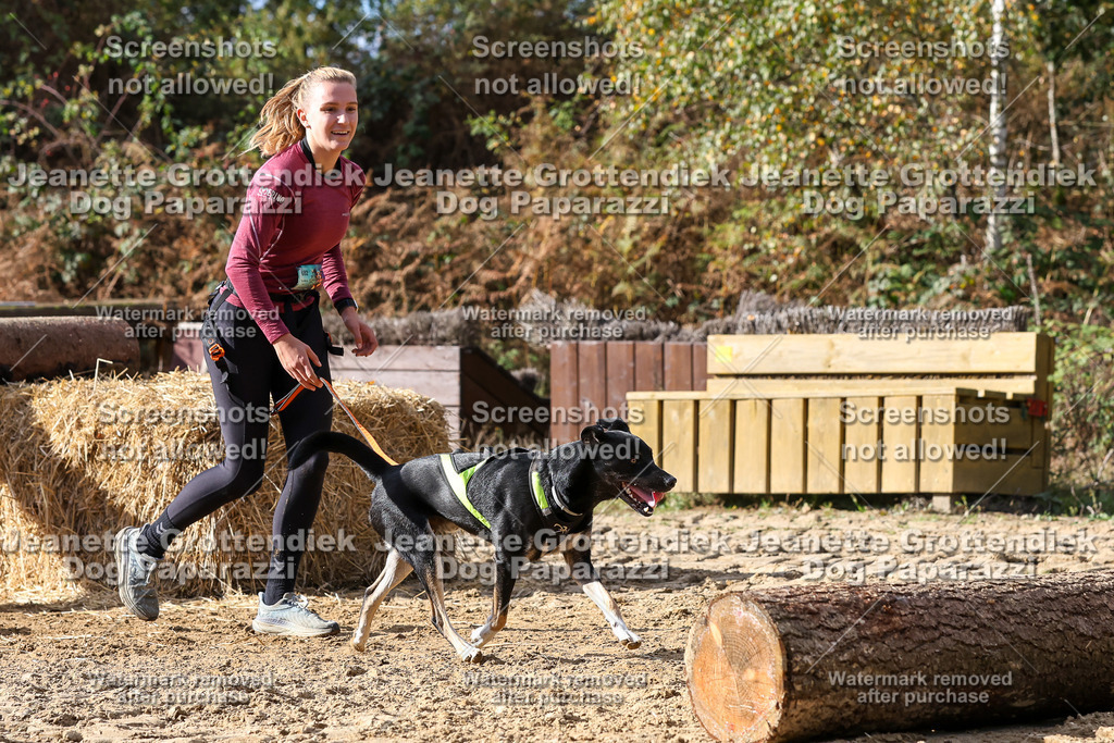 Dog Paparazzi - Strongdog 10-25-5085 | Dog Paparazzi Jeanette Grottendiek Fotografie & Videografie - Realisiert mit Pictrs.com