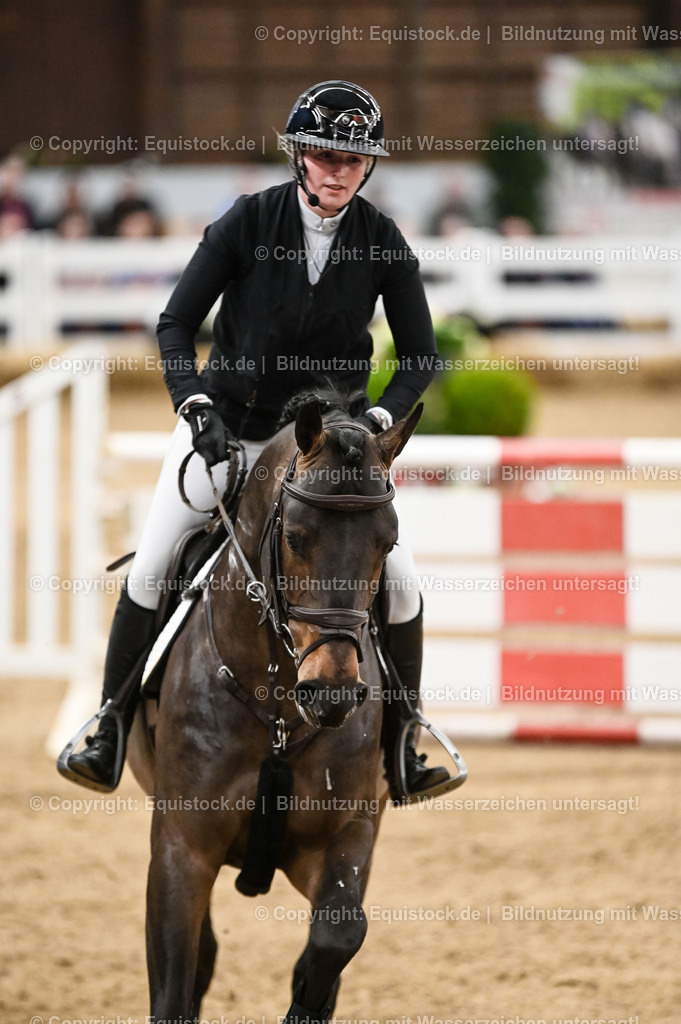 20260307_Hengstvorstellung-Marbach_0137 | equistock