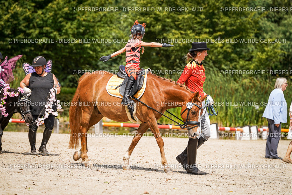 DSC03052 | Pferdegrafie