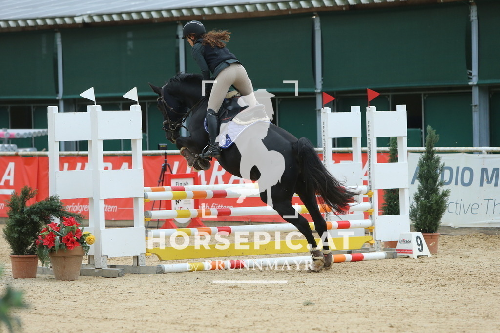 DL2Q4166 | Willkommen bei Brunnmayr - Design & Fotografie – Ihrem Spezialisten für Reitturniere und Pferdeveranstaltungen in Oberösterreich, Salzburg und Bayern! Seit über 17 Jahren sind wir leidenschaftlich dabei.