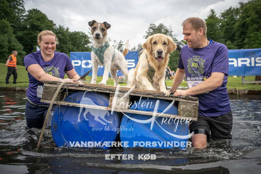 1005_ZZ94183 | kk-dogfotos
