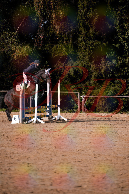 2026_10_03_Siefer-Hof_153615_Z81_48866963 | Professionelle Reitsport-, Turnier- und Eventfotografie von Robert Broda. Galerien mit ausgewählten und bearbeiteten Bildern direkt online ansehen und bestellen.