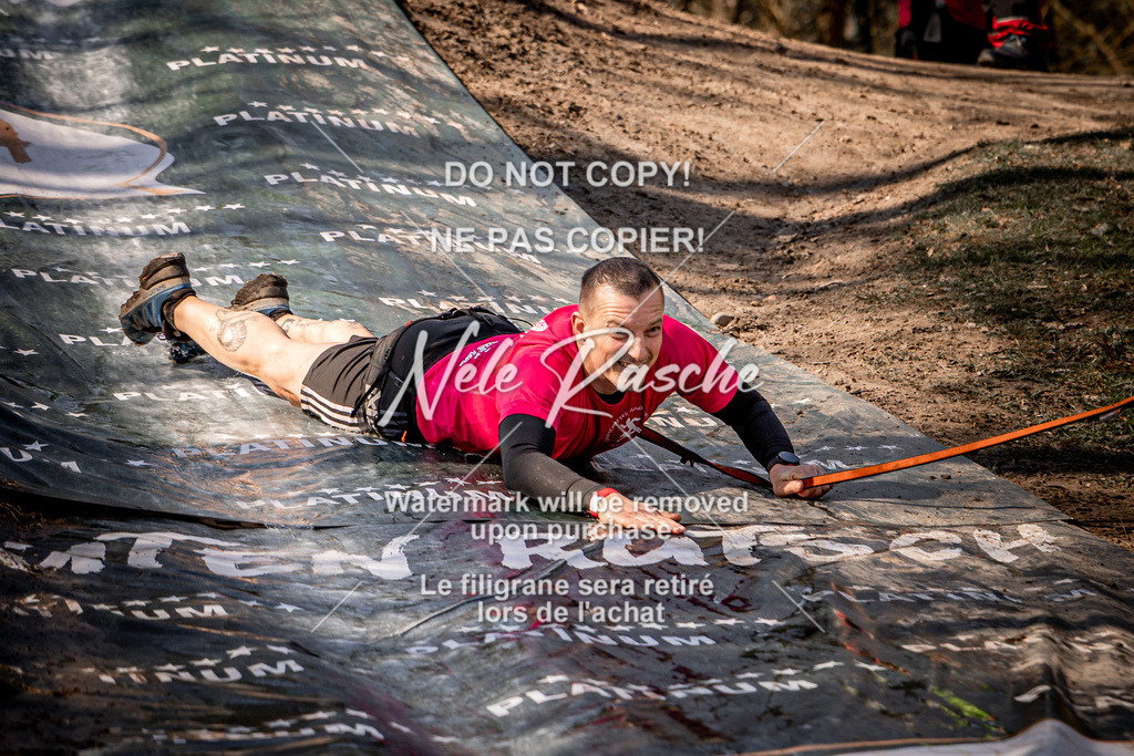 nelerasche_Hulsbeek_So1100-1130_225 | nelerasche
