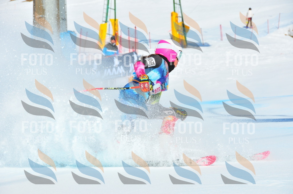 DSC_4121 | holidayphoto