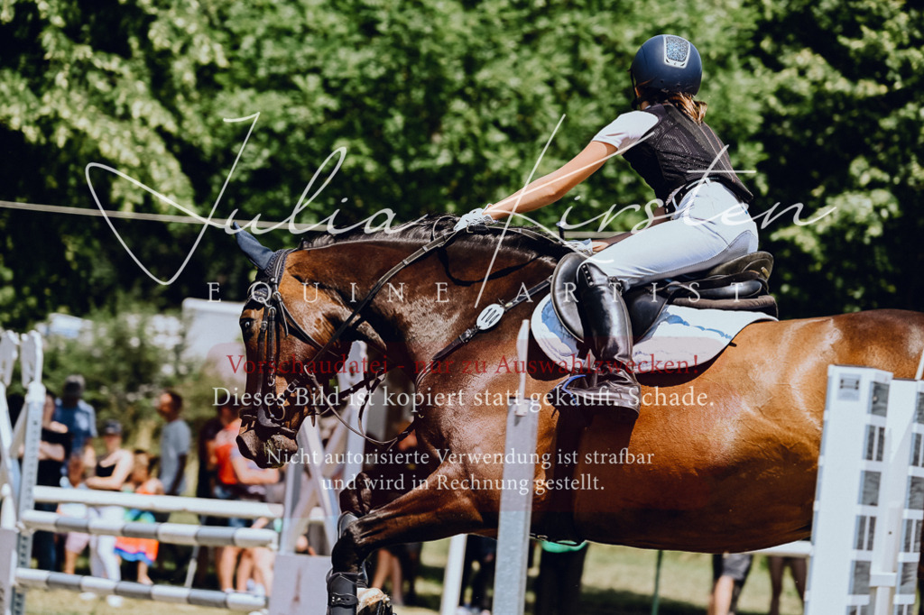 DSC_0520 | Pferde- und Turnierfotografie in Westsachsen. Pferdeportraits, Auftragszeichnungen und intuitive Kunst.