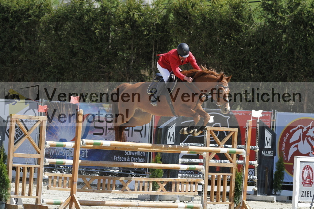_MG_7181 | equestrian-live-com