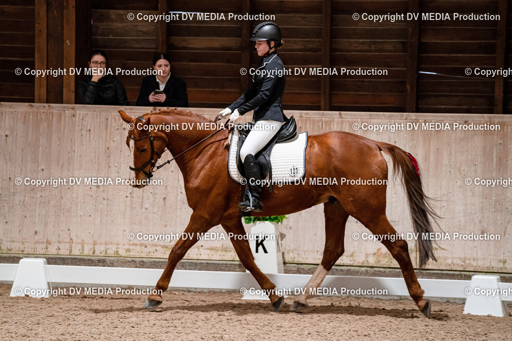 Dressur Tag 2-421 | dv-media-shop - Realisiert mit Pictrs.com