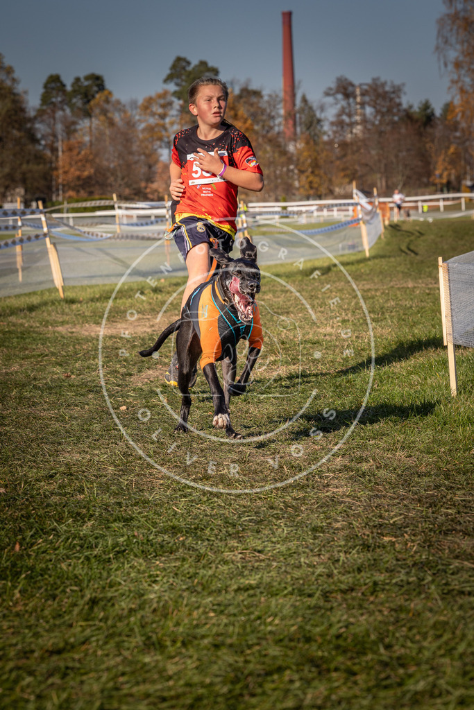 CaniXpix_0L8A7538 | Hundefotografie, Tierfotograf, Pfotenfotografie, Fotoshooting Hund, Hunde Portrait, Hundesport, Hundeportraits, Heideshooting, Hunde, Sportfotograf, Hundefotograf, Turnierhundsport, THS,  - Realisiert mit Pictrs.com
