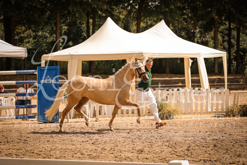 11.So00102 | Leoni Ertmer Photography - Realisiert mit Pictrs.com