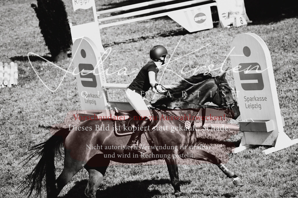 DSC_2123 | Pferde- und Turnierfotografie in Westsachsen. Pferdeportraits, Auftragszeichnungen und intuitive Kunst.